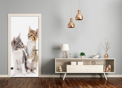 Papel de parede em porta Dois gatinhos