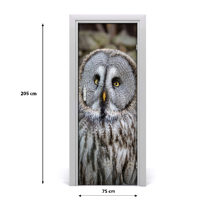 Adesivo em porta Coruja