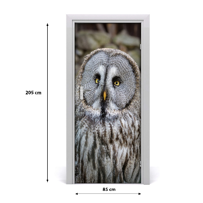 Adesivo em porta Coruja