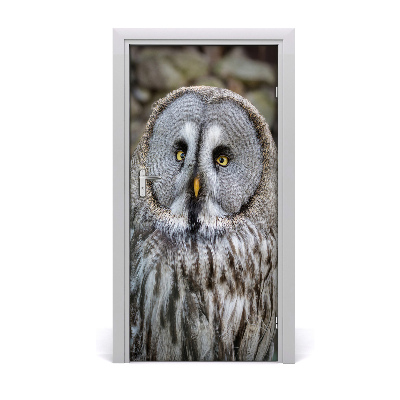 Adesivo em porta Coruja