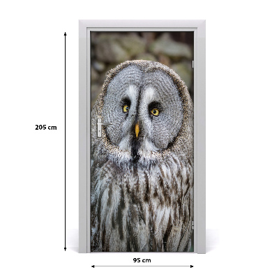 Adesivo em porta Coruja