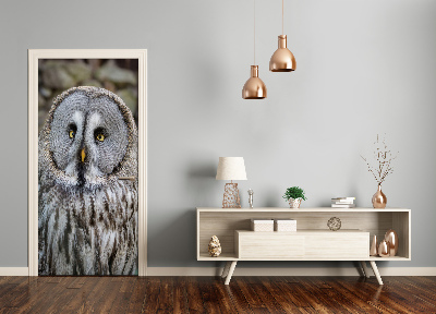 Adesivo em porta Coruja