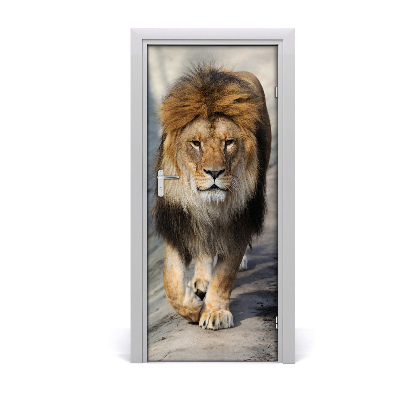 Autocolante para porta Leão