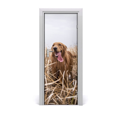 Papel de parede em porta Golden retriever