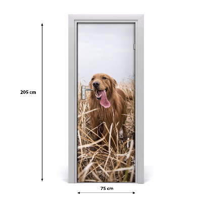 Papel de parede em porta Golden retriever