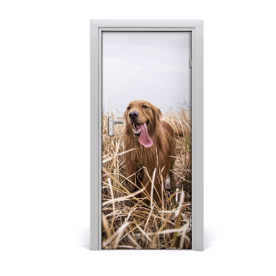 Papel de parede em porta Golden retriever