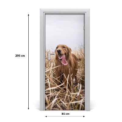 Papel de parede em porta Golden retriever