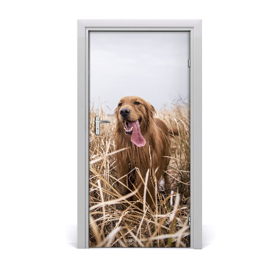 Papel de parede em porta Golden retriever