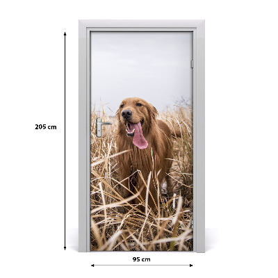 Papel de parede em porta Golden retriever