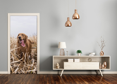 Papel de parede em porta Golden retriever