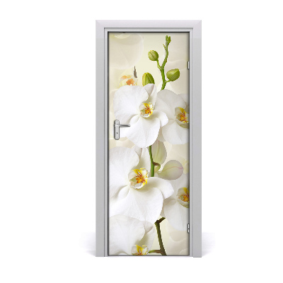 Papel de parede em porta orquídea branca