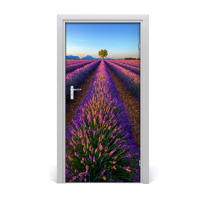 Autocolante para porta Campo de lavanda