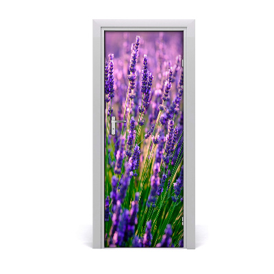 Adesivo em porta Campo de lavanda