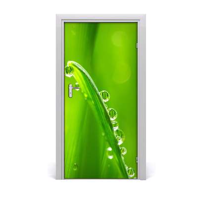 Autocolante para porta Folhas de grama