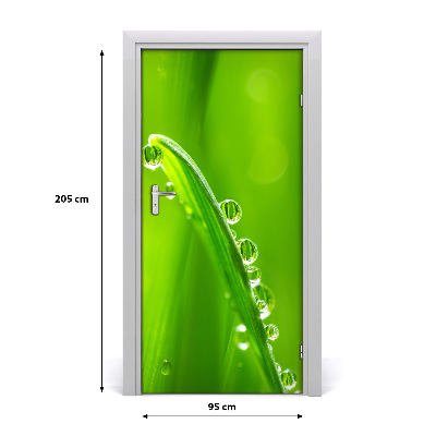 Autocolante para porta Folhas de grama