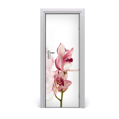 Papel de parede em porta orquídea rosa