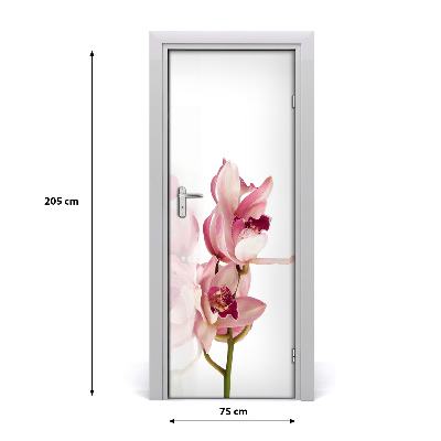 Papel de parede em porta orquídea rosa