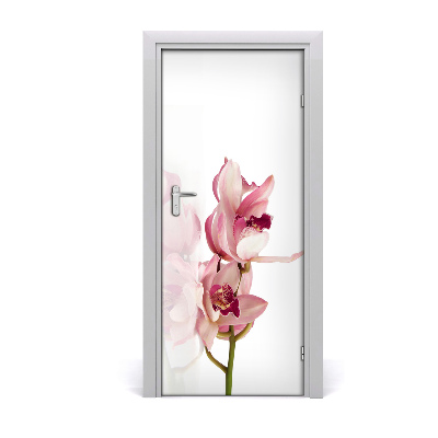 Papel de parede em porta orquídea rosa
