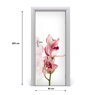 Papel de parede em porta orquídea rosa