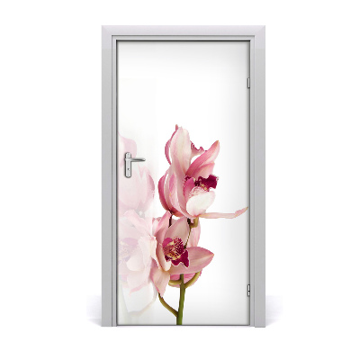 Papel de parede em porta orquídea rosa