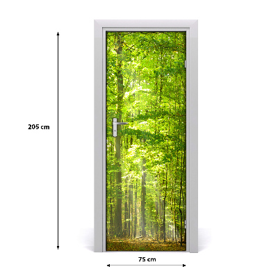 Papel de parede em porta Paisagens Floresta de faias