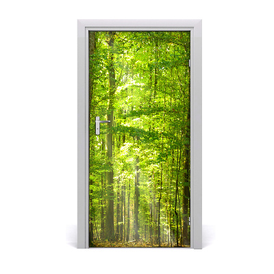 Papel de parede em porta Paisagens Floresta de faias