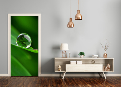 Autocolante para porta Uma folha de grama