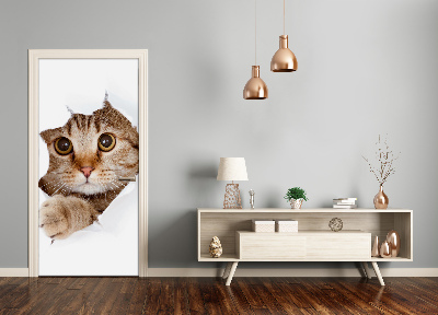 Papel de parede em porta Gato