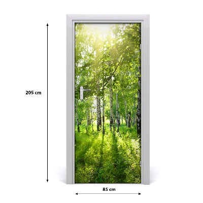Adesivo em porta Floresta de bétulas