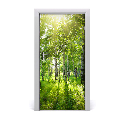 Adesivo em porta Floresta de bétulas