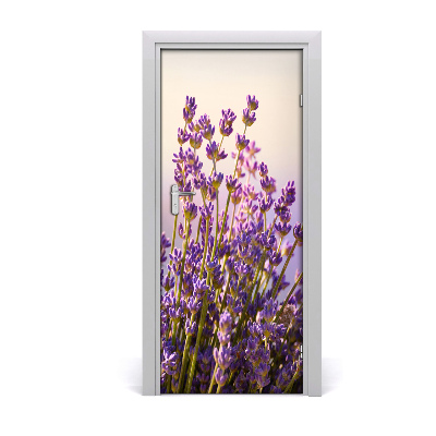 Adesivo em porta Lavanda