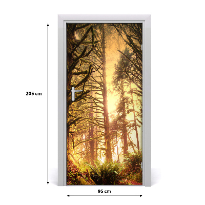 Autocolante para porta Floresta tropical