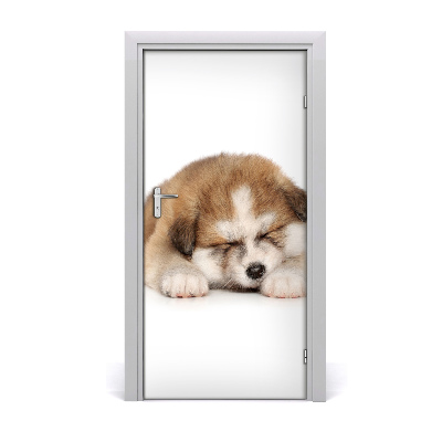 Papel de parede em porta Filhote de Akita
