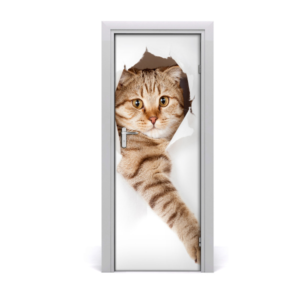 Papel de parede em porta Gato