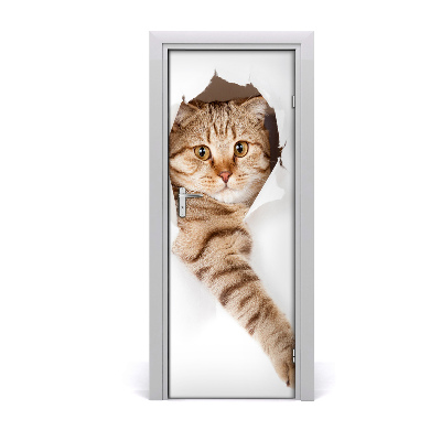 Papel de parede em porta Gato
