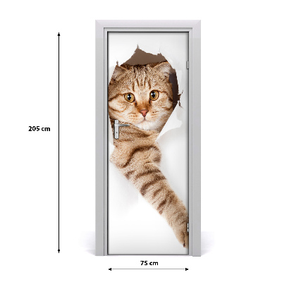 Papel de parede em porta Gato