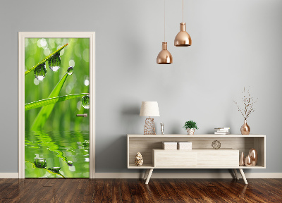 Papel de parede em porta Folhas de grama