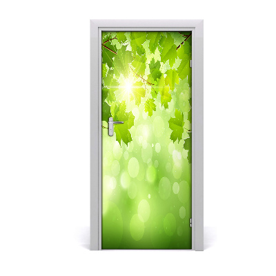 Adesivo em porta Folhas verdes