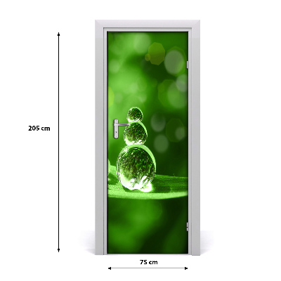 Papel de parede em porta Gotas na grama