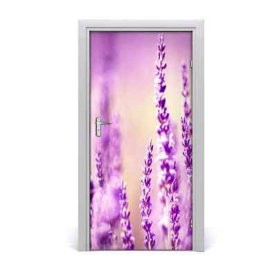 Adesivo em porta Lavanda