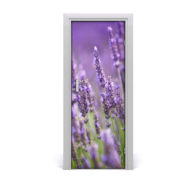 Adesivo em porta Campo de lavanda