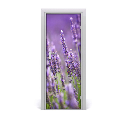 Adesivo em porta Campo de lavanda