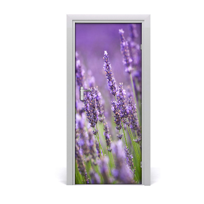 Adesivo em porta Campo de lavanda