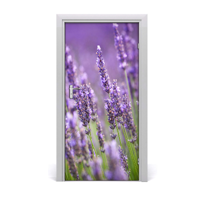 Adesivo em porta Campo de lavanda