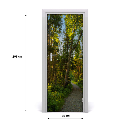 Papel de parede em porta Caminho na floresta