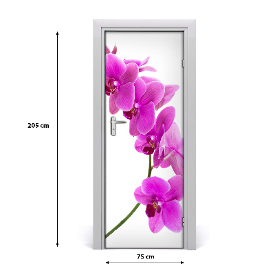 Papel de parede em porta orquídea rosa