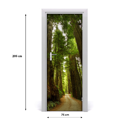 Autocolante para porta Caminho na floresta