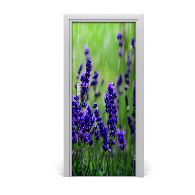 Autocolante para porta Campo de lavanda