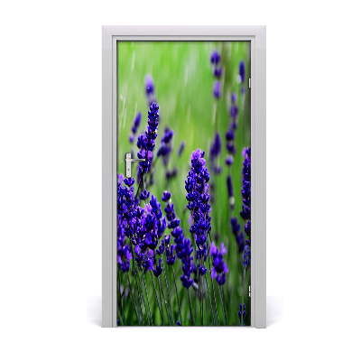 Autocolante para porta Campo de lavanda