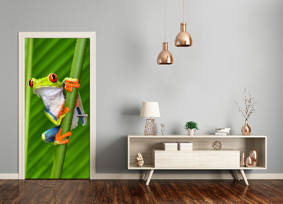 Papel de parede em porta Rã-árvore europeia